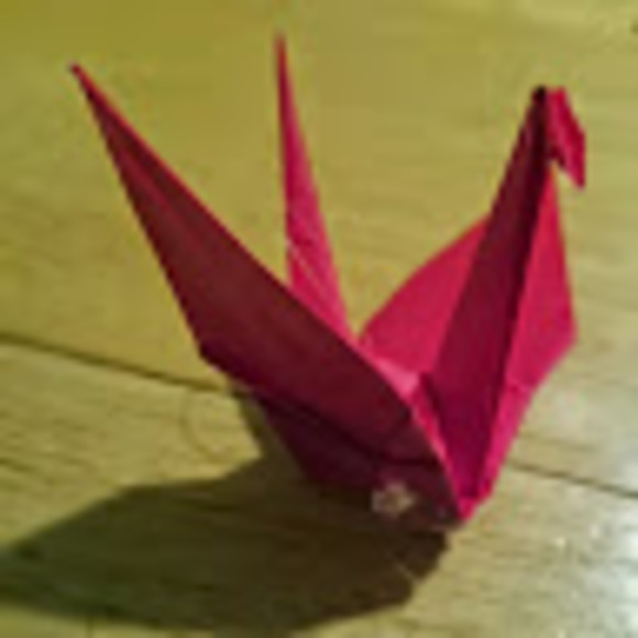 Meet your Posher, Annie - Picture 1 of 1